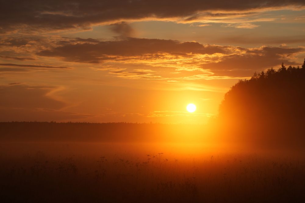 Photograph by Алексей Курносов
