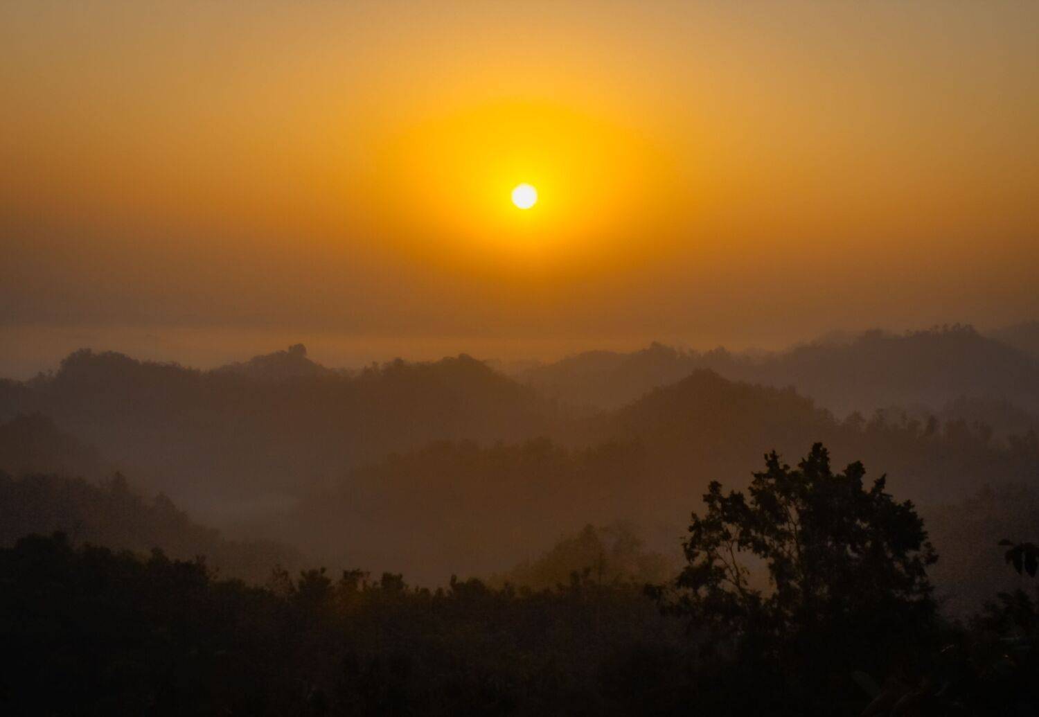Golden Silence