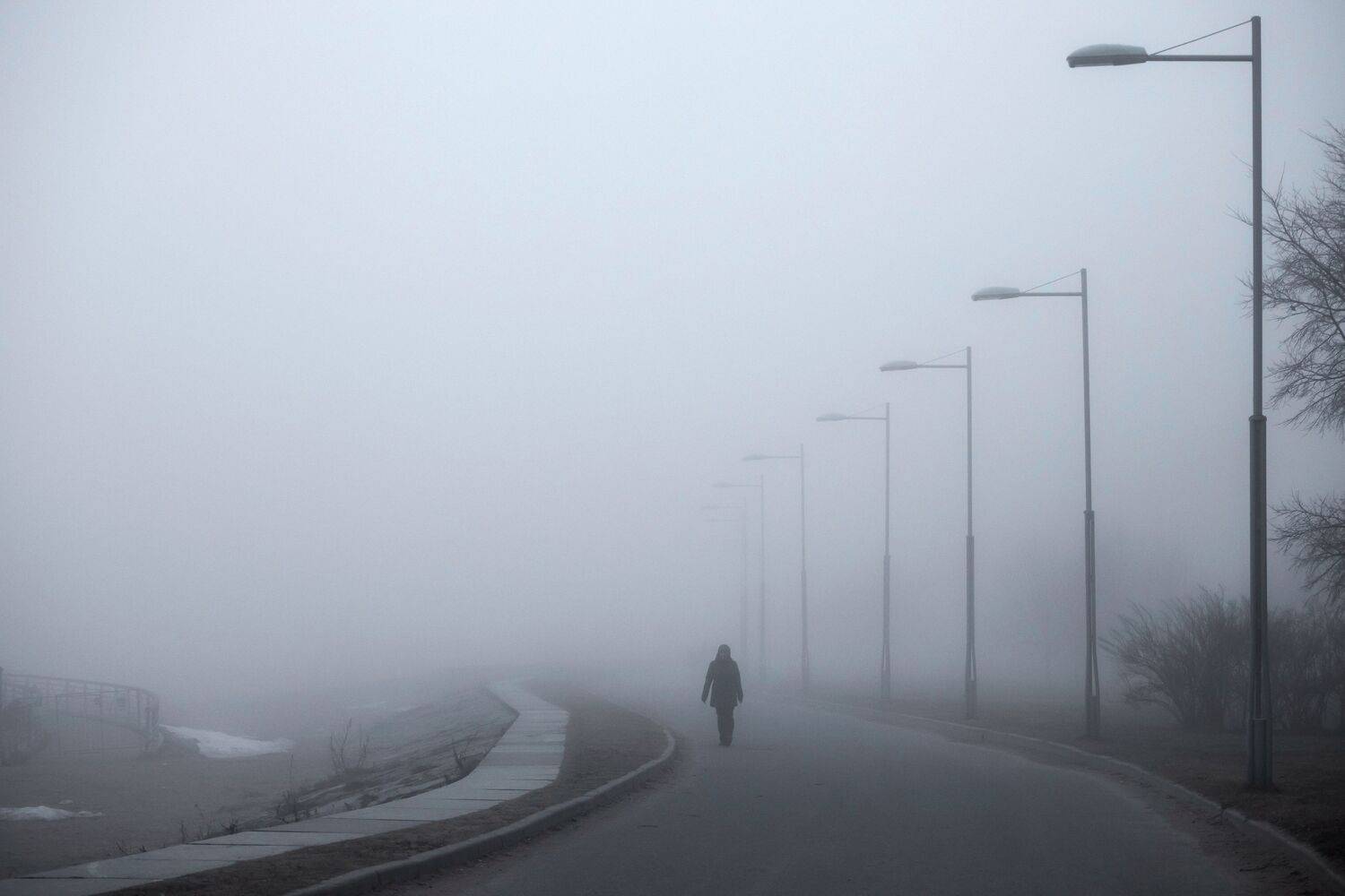 Photo #13499915
