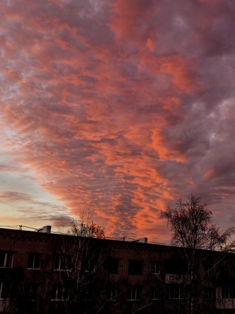 Photograph by Елена Терехова