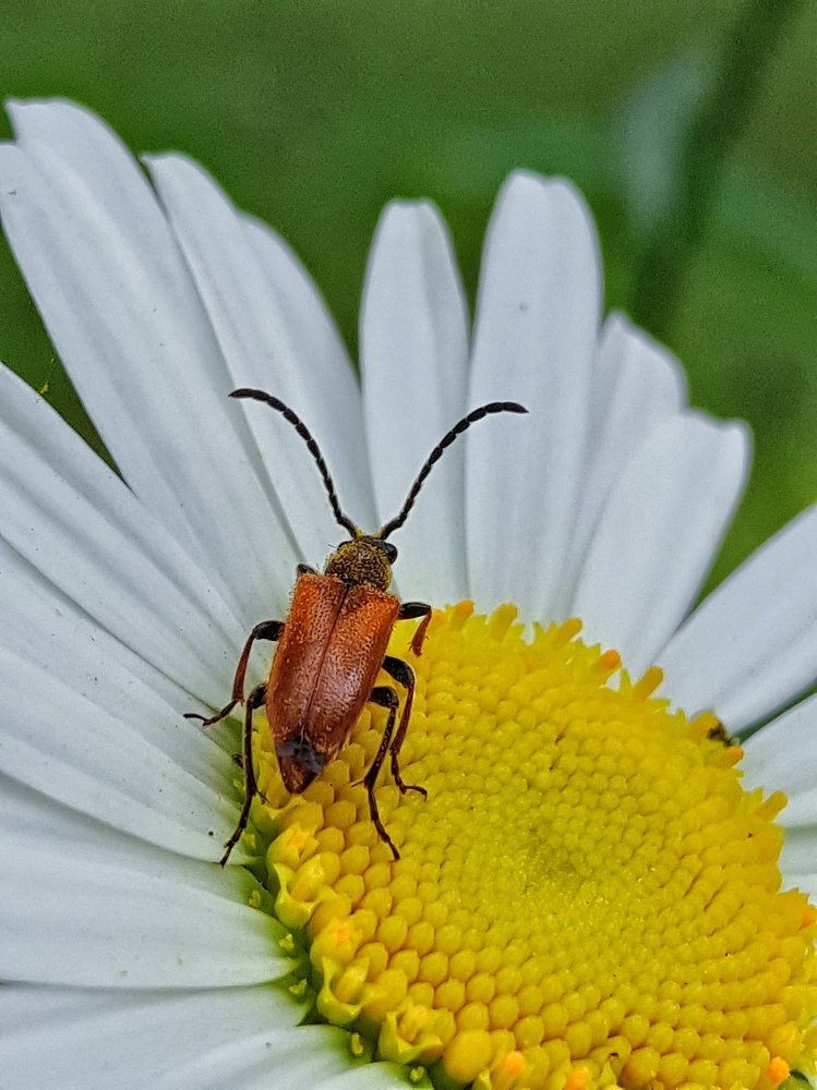 Photograph by Денис Батыгин
