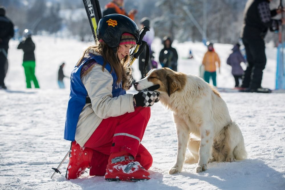 любите животных