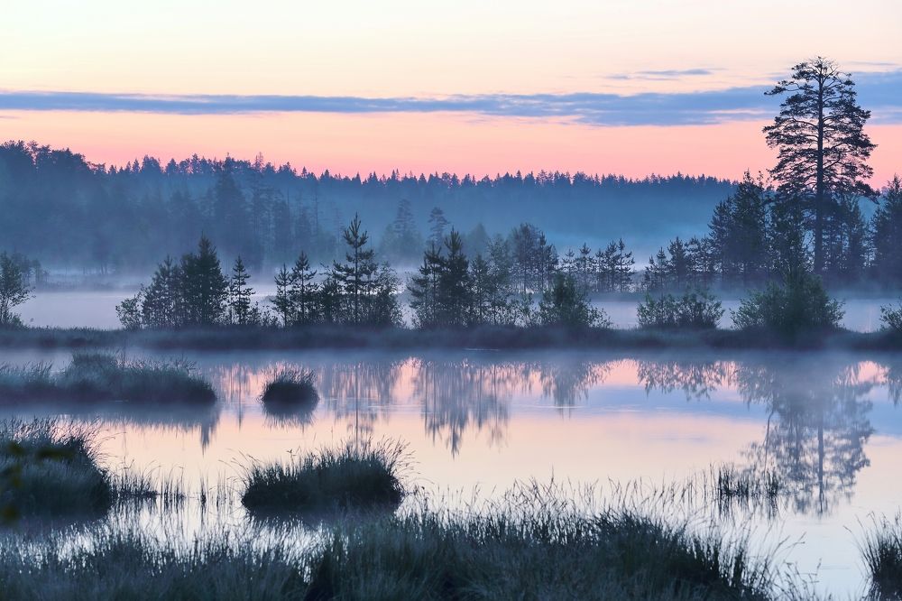 Белая ночь на озере Лососинном. Карелия.