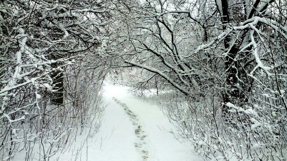 Photograph by Сергей