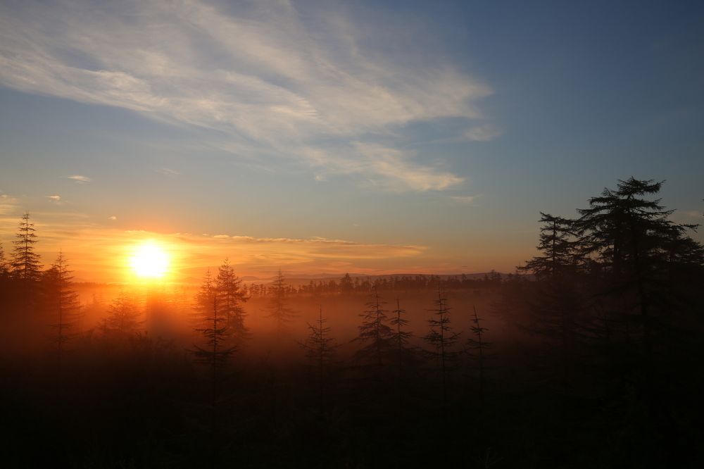 Утро туманное...