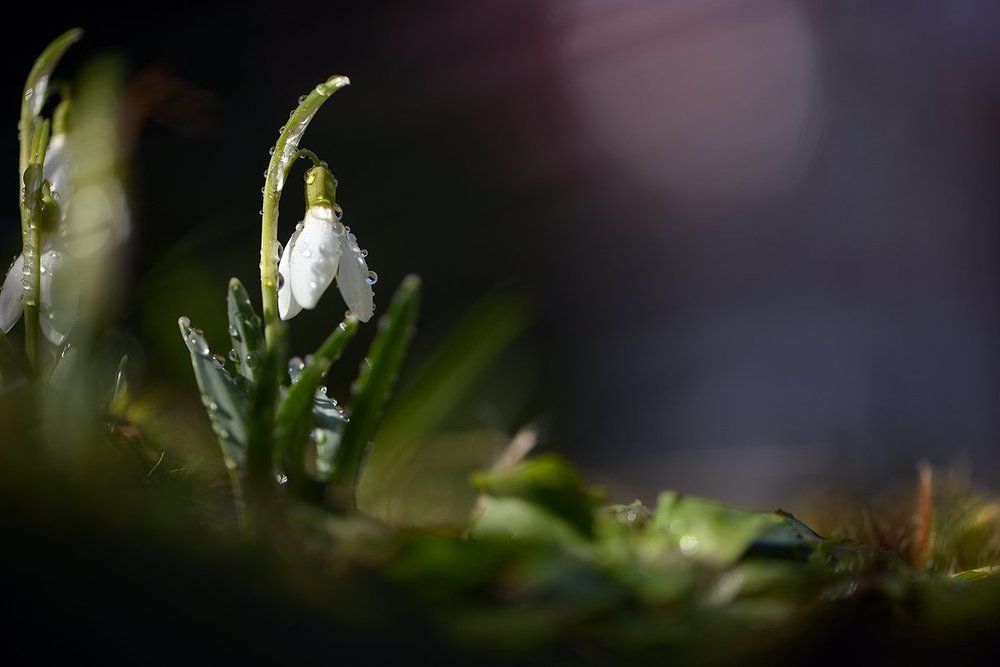 Хуторок в степи