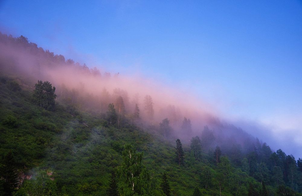 Photograph by Шарамет Екатерина