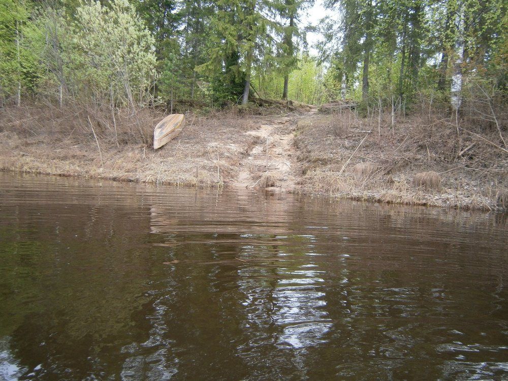 Photo #1351299