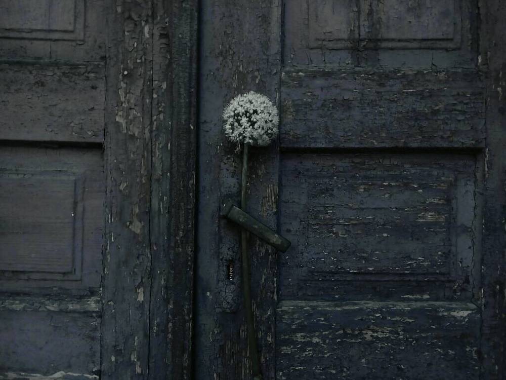 Соединение природы и старинного здания