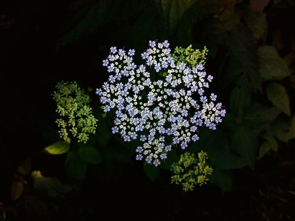 Photograph by Юлия