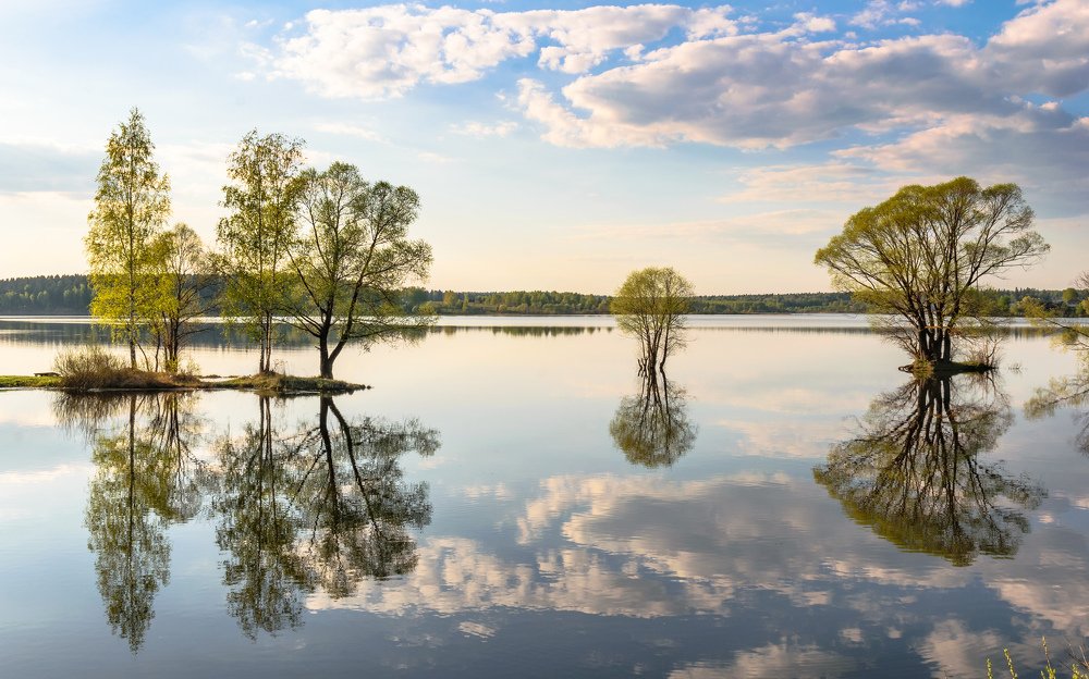 Отражения. На Озернинском водохранилище