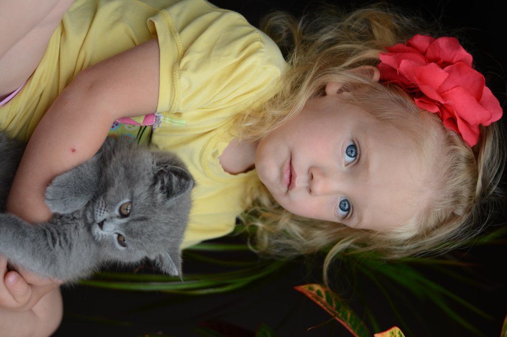 малыши