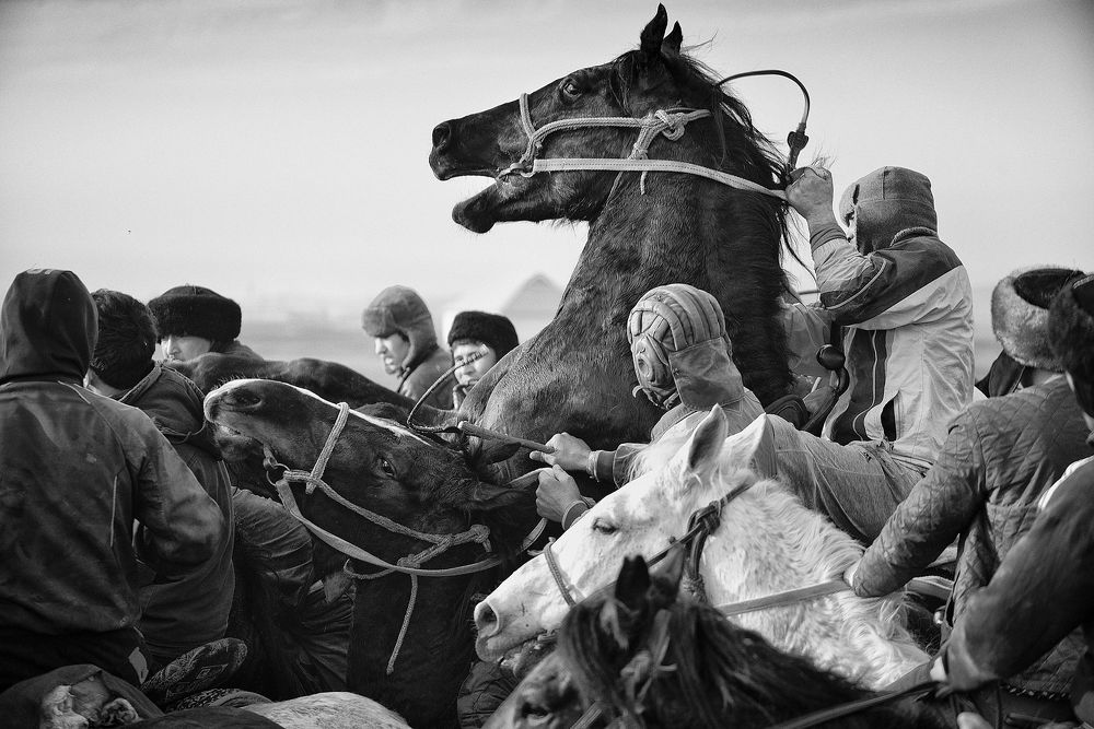 Из серии «Кокпар».