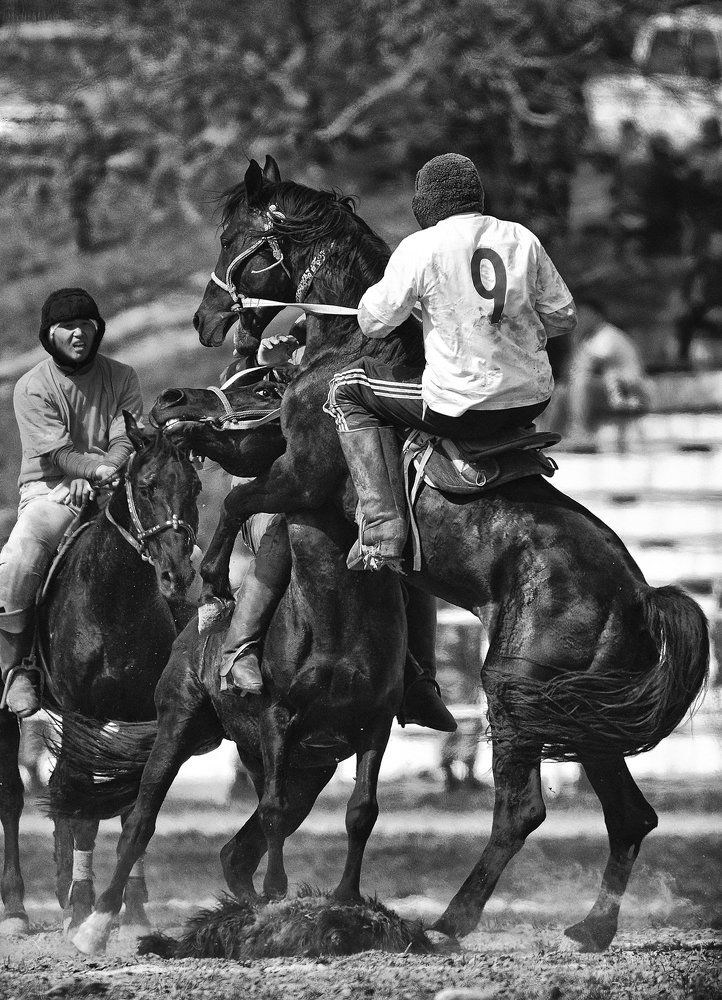 Из серии «Кокпар».