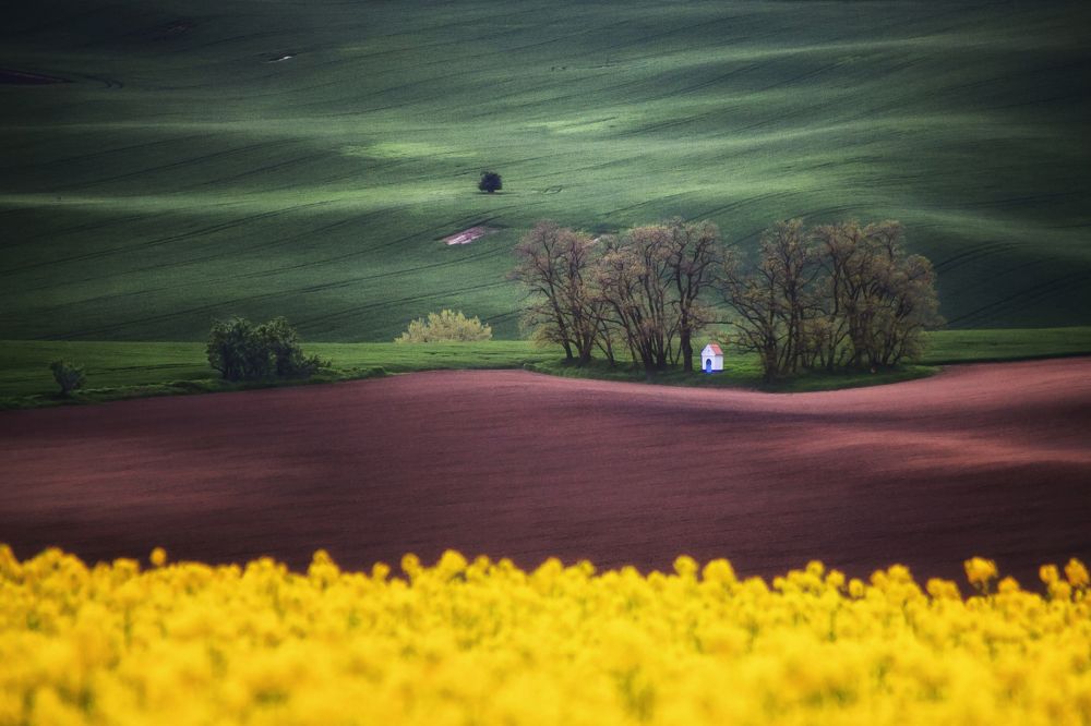 Моравская сказка