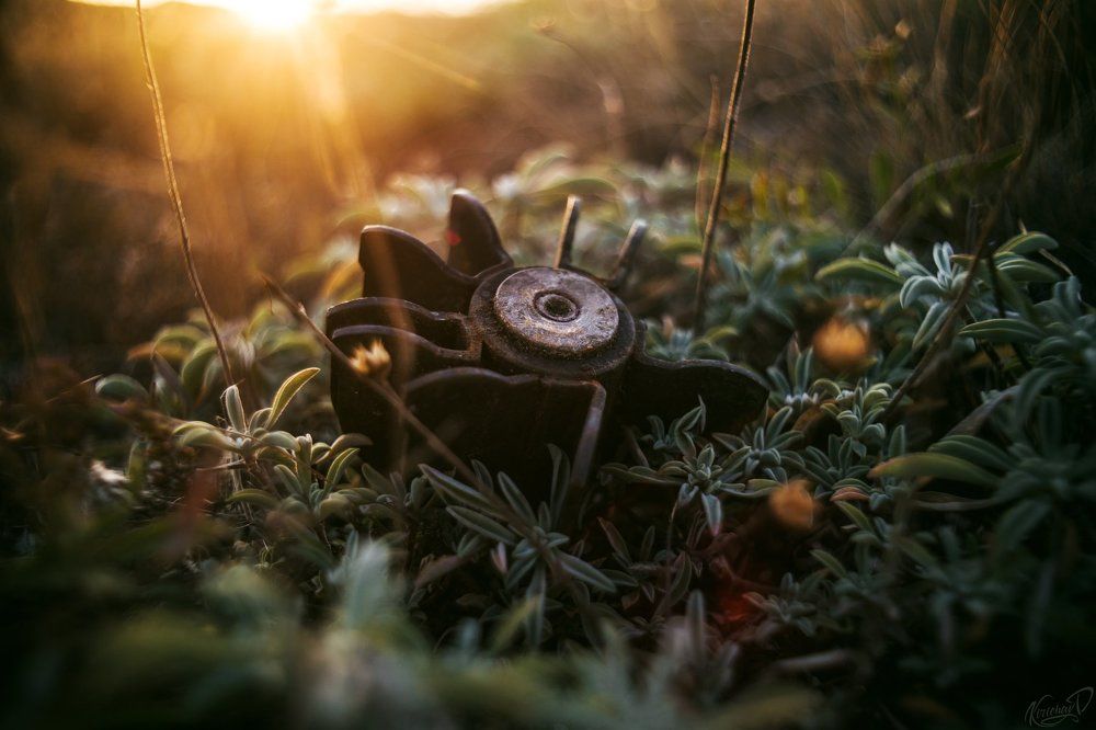 Война и мир