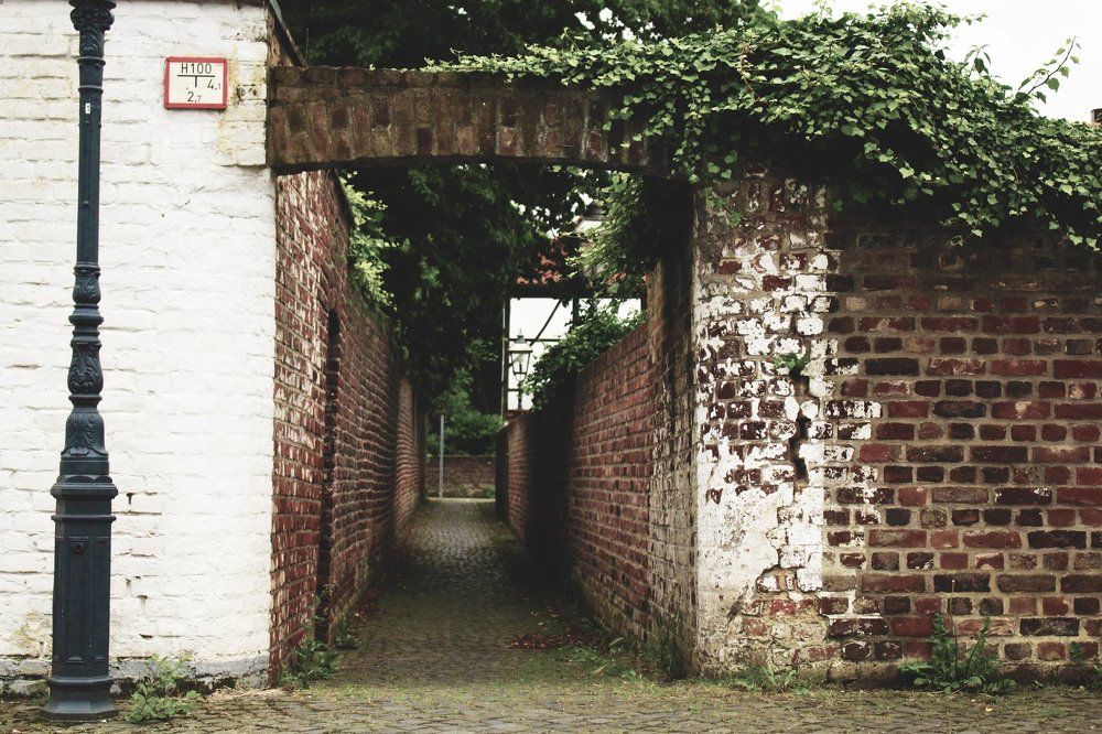 Тоска по Германии