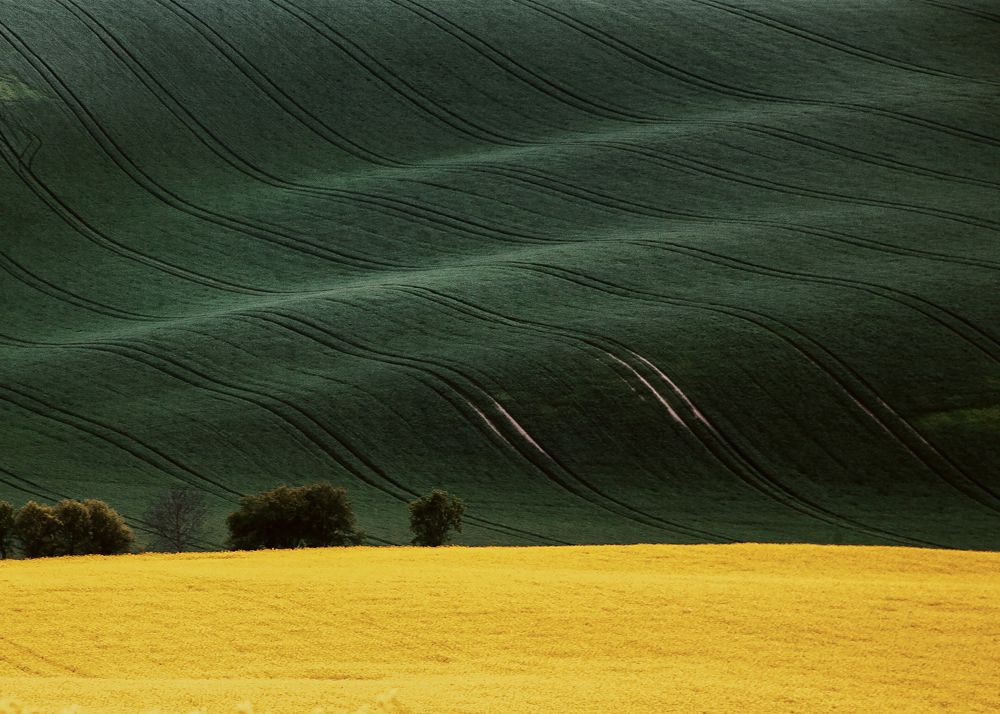 плюш и бархат