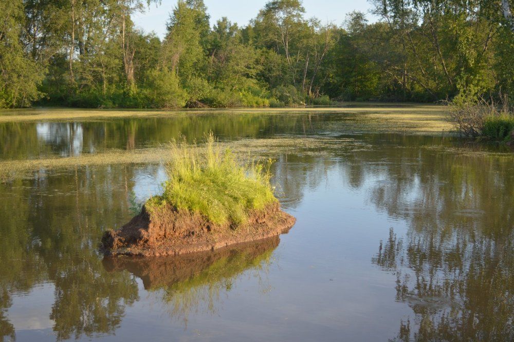 День