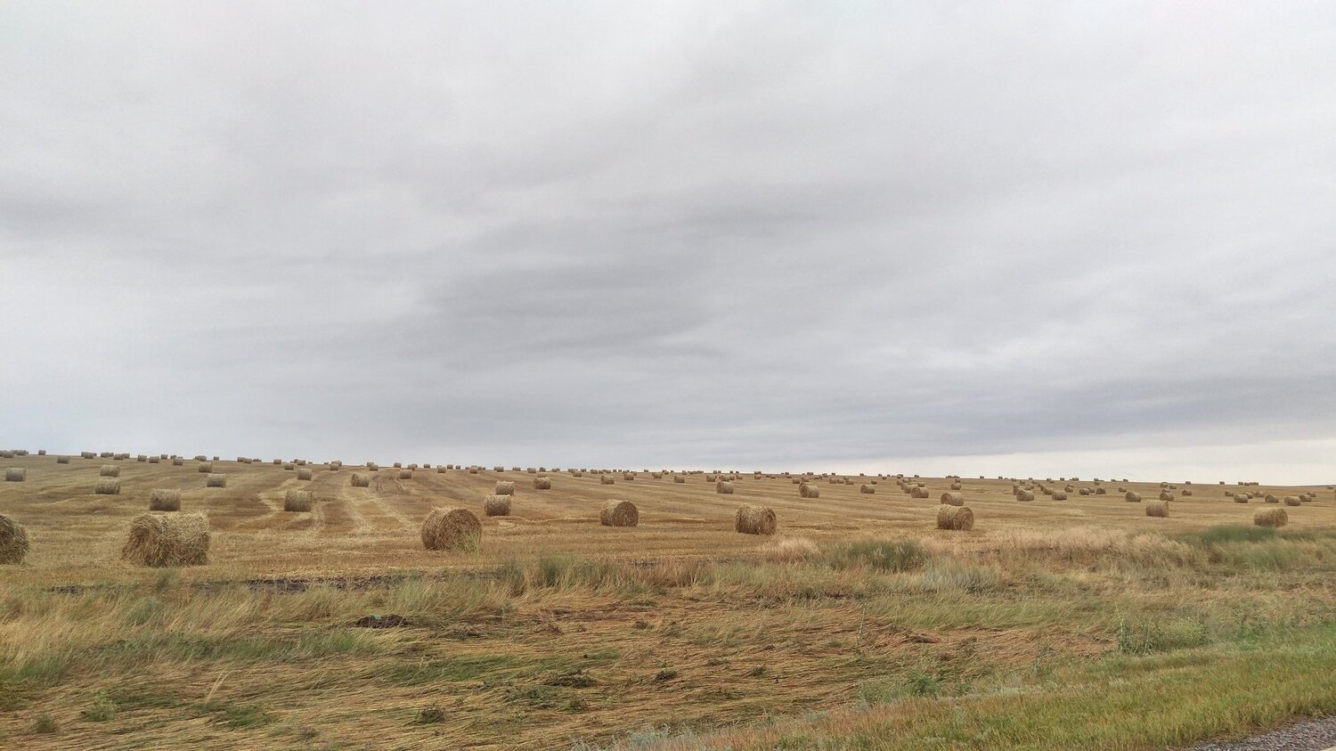 Безмятежность