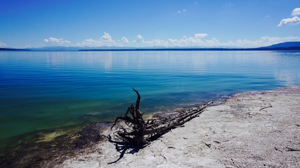 Yellowstone Lake
