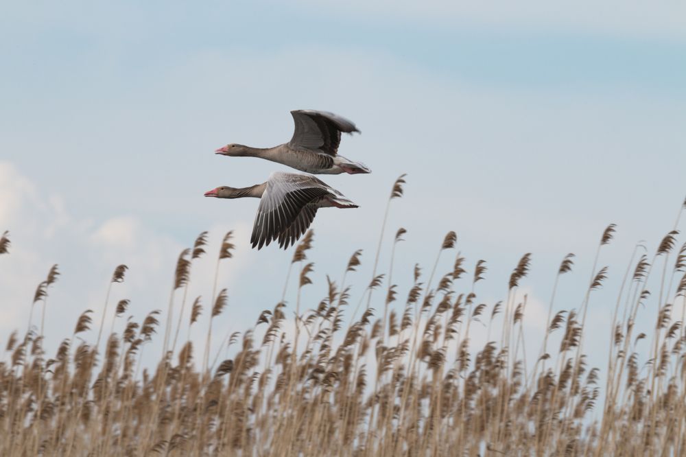 Photograph by Алексей Кашин