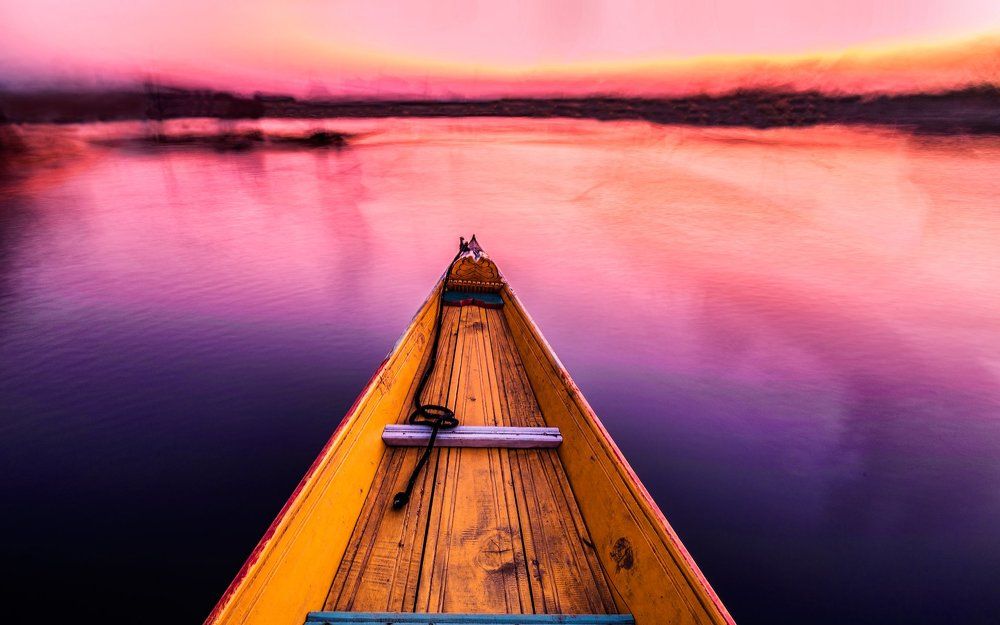 Glide through Dal lake serenity