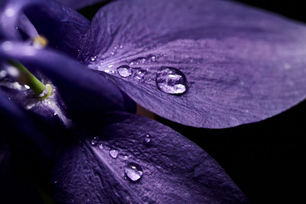 Photograph by Игорь Игоревич