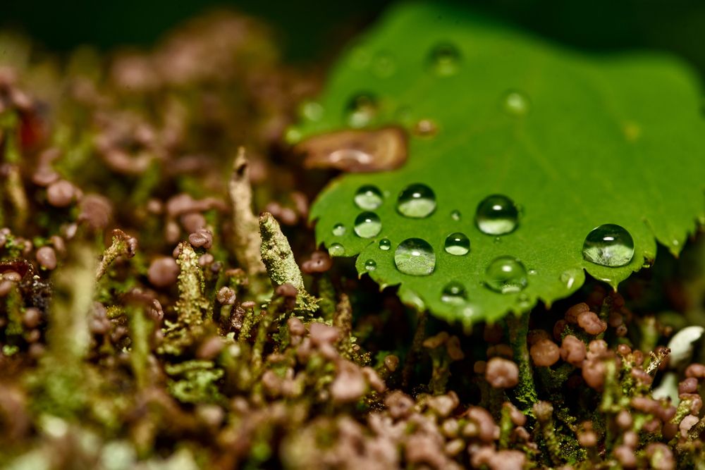 Photograph by Игорь Игоревич