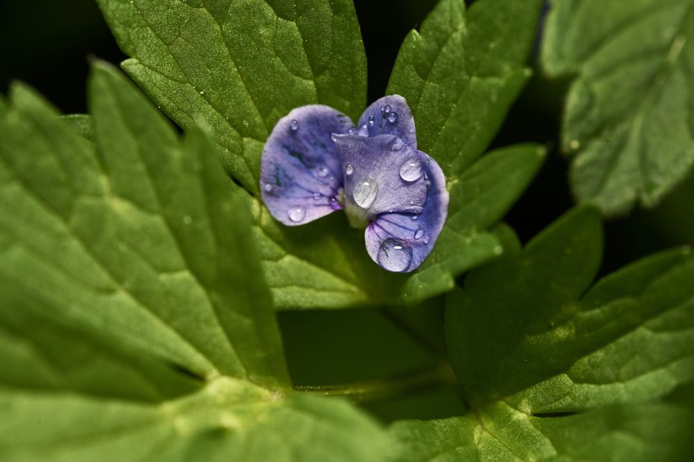 Photograph by Игорь Игоревич