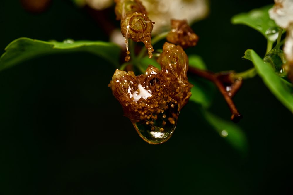 Photograph by Игорь Игоревич
