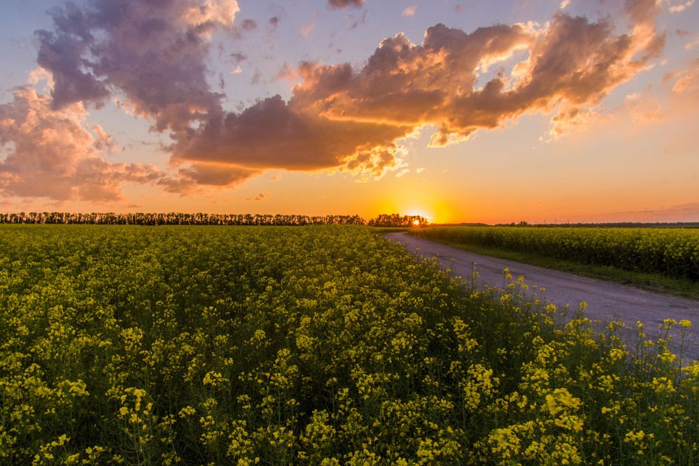 Photograph by Иван Губский