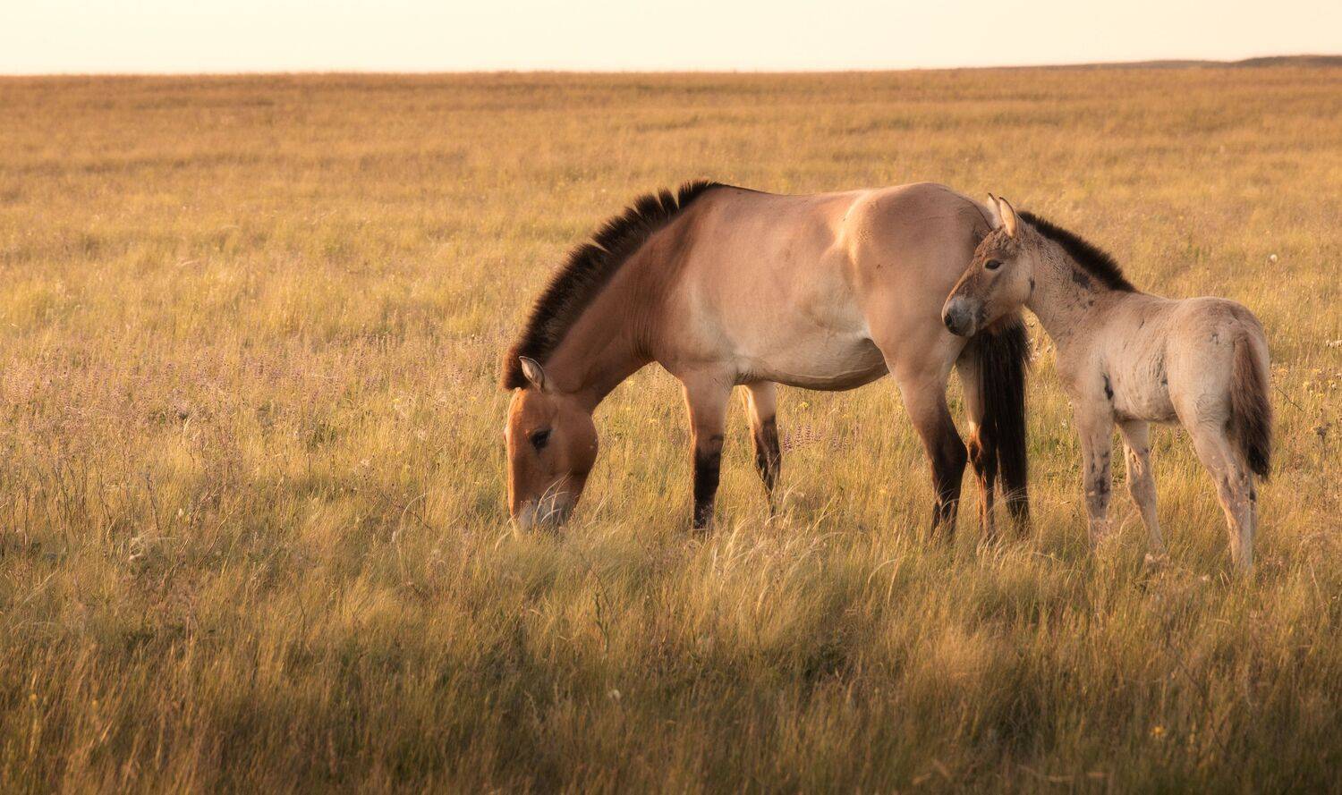 Фотография #13500234