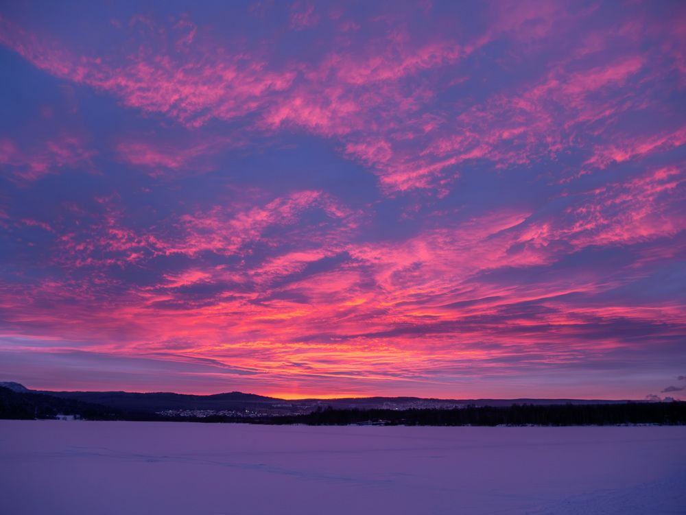 Photograph by Anton Y
