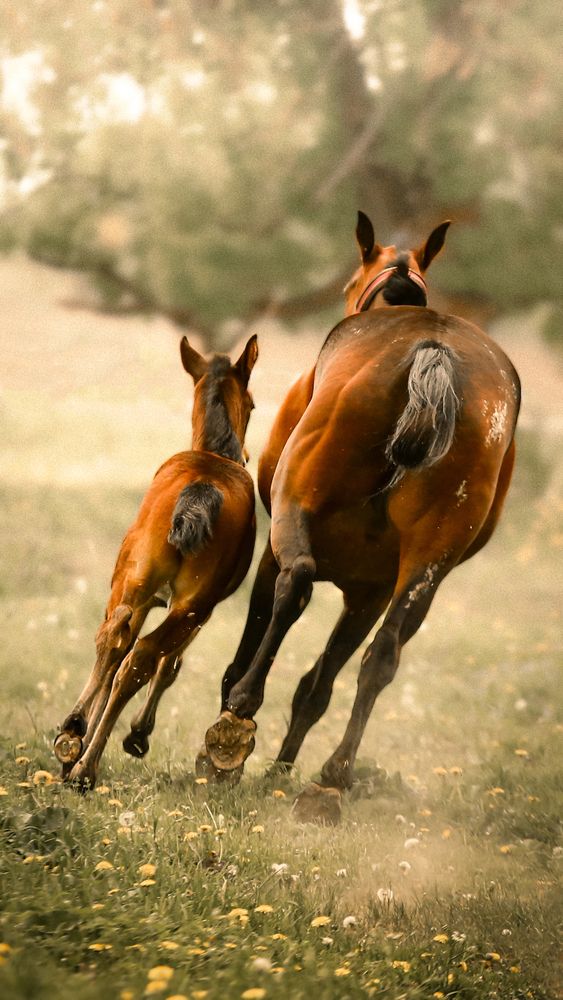 Photograph by Мария Грачева