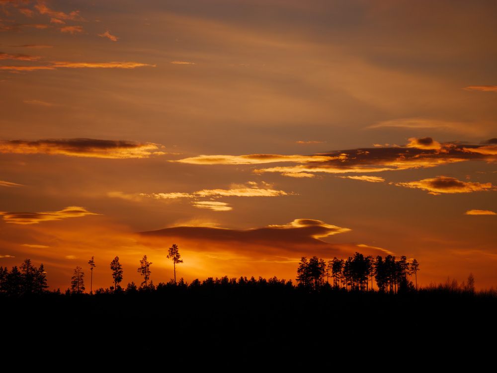 Photograph by Anton Y