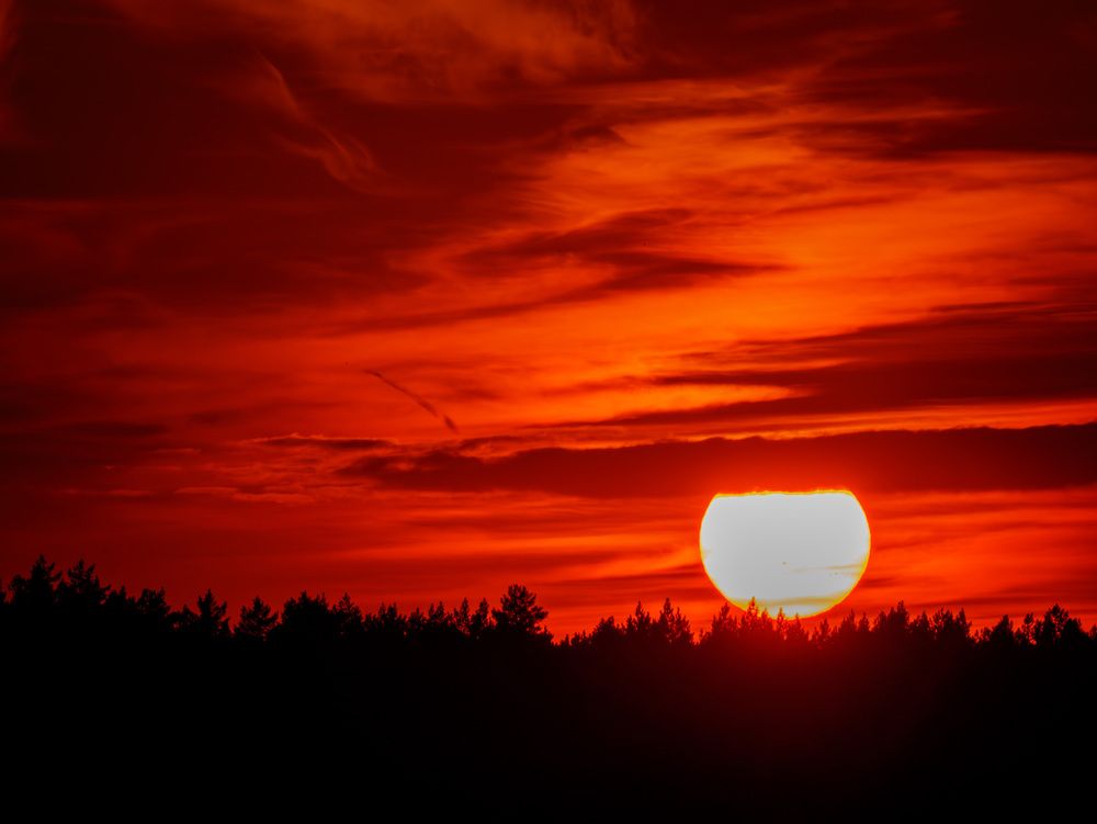Photograph by Anton Y