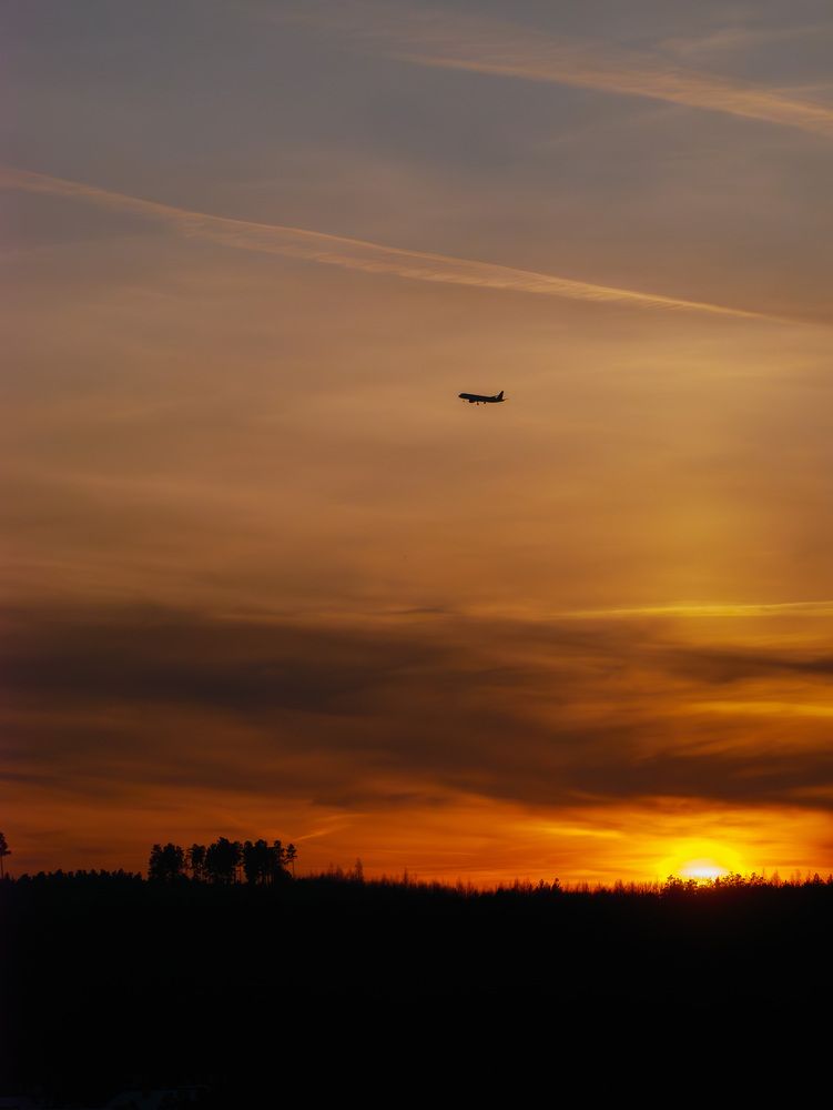 Photograph by Anton Y