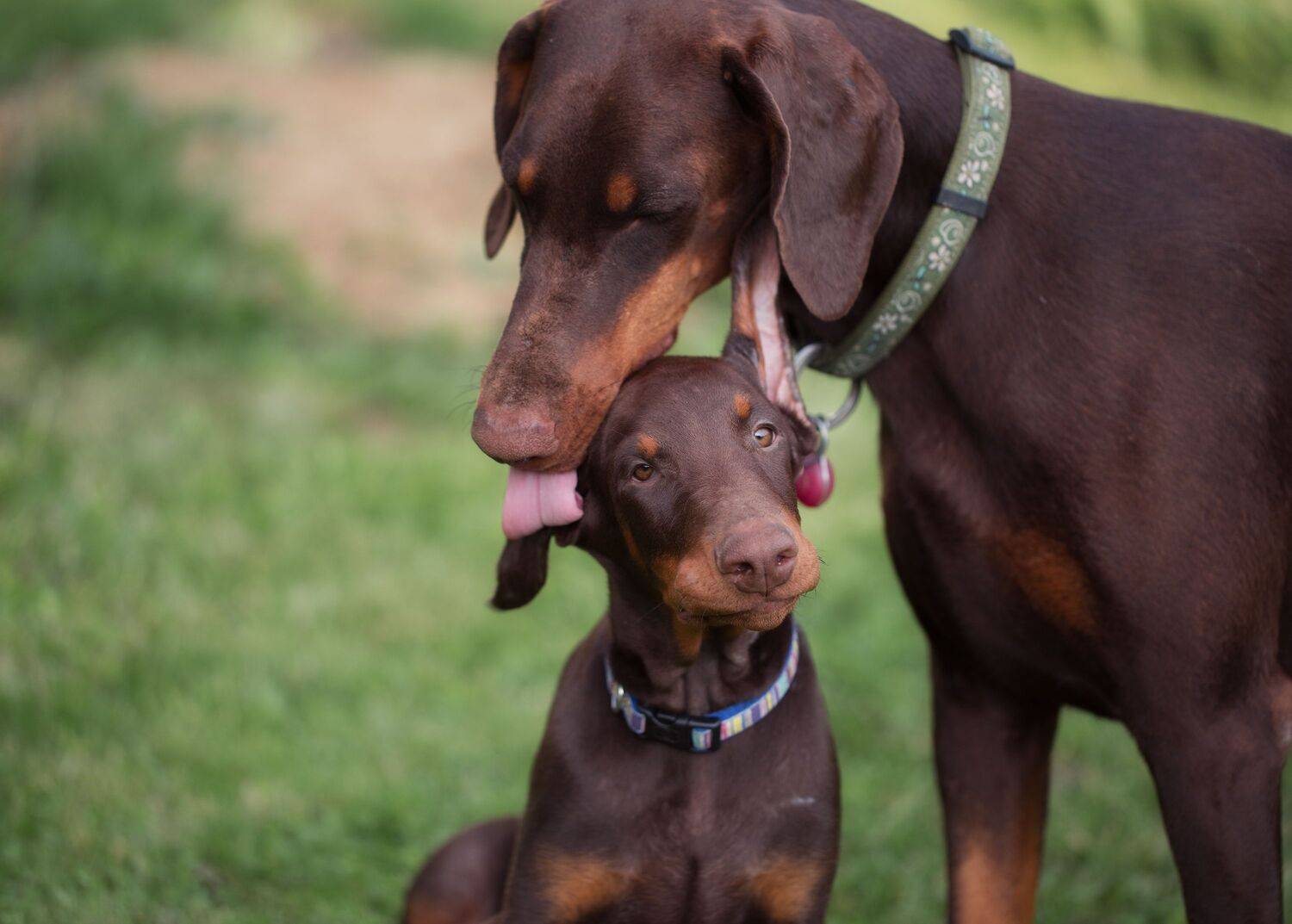 Фотография #13500409