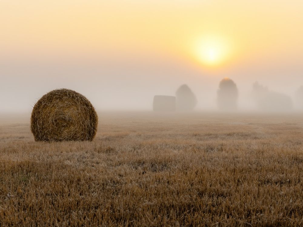 Photograph by Светлана Волхонская