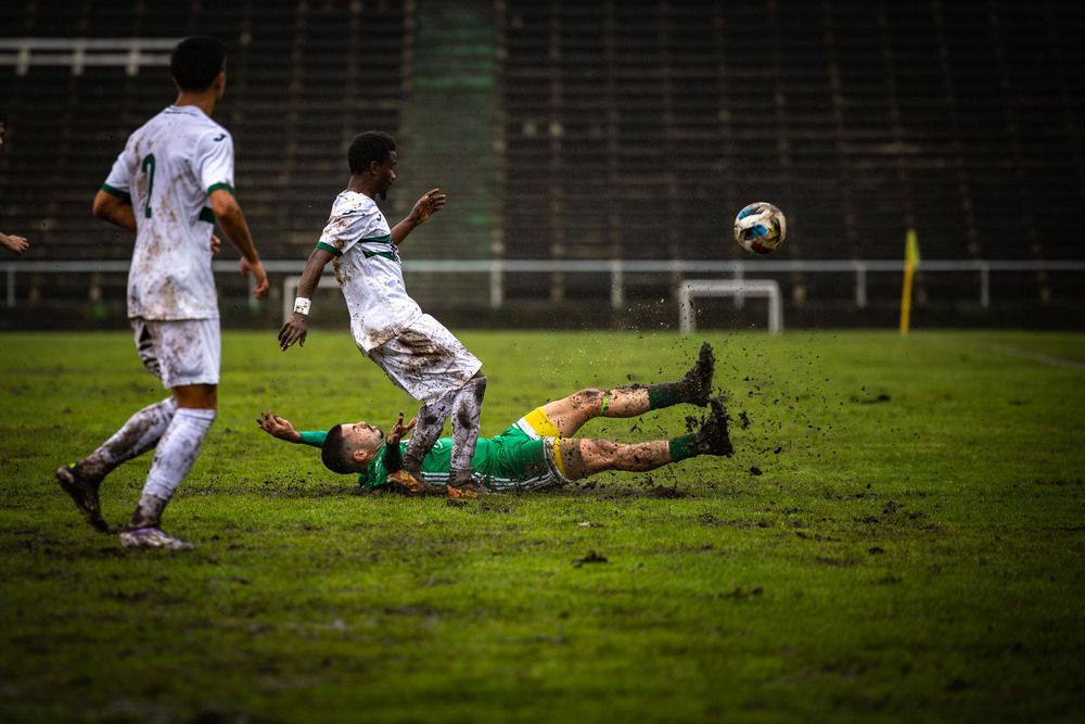 Photograph by Pedro Tavares