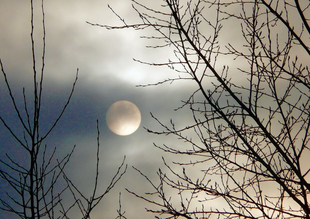 Photo #13500577