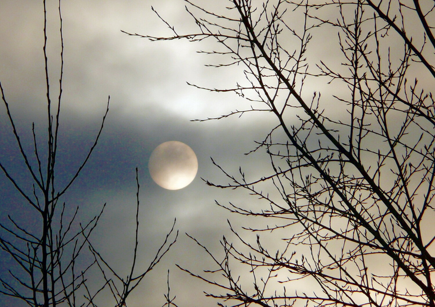 Photo #13500577