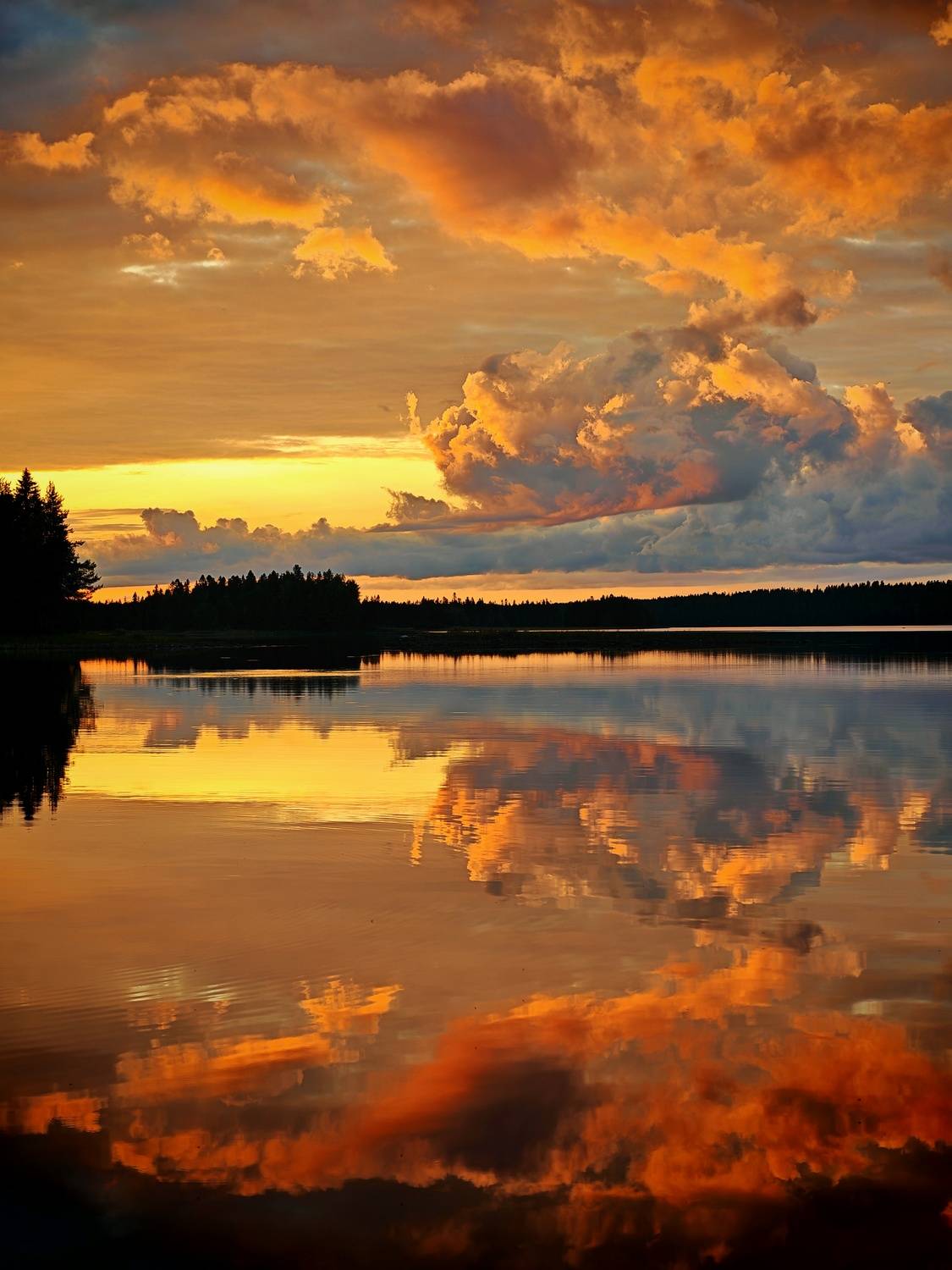 Photo #13500582