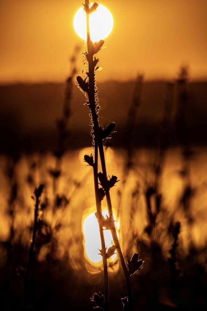 Photograph by Ирина Бабич