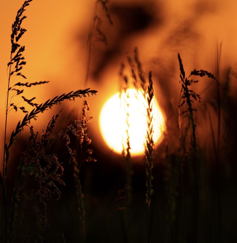 Photograph by Ирина Бабич