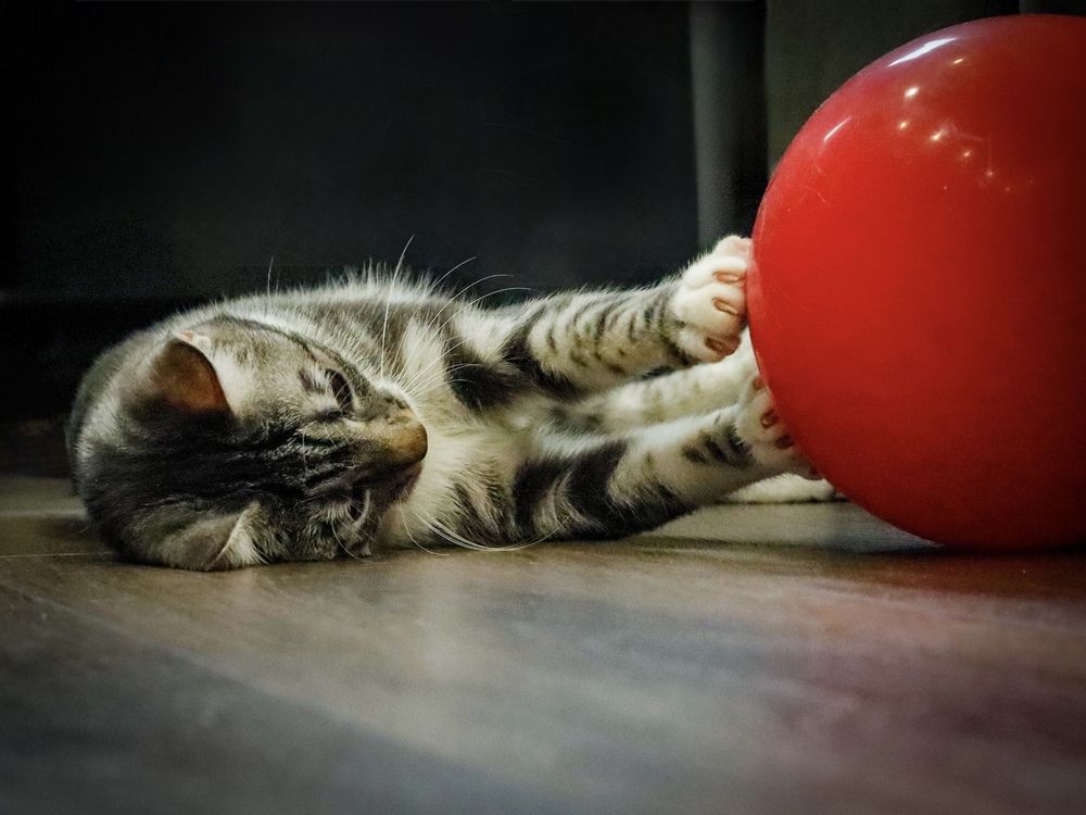 Photograph by Ekaterina Slepneva