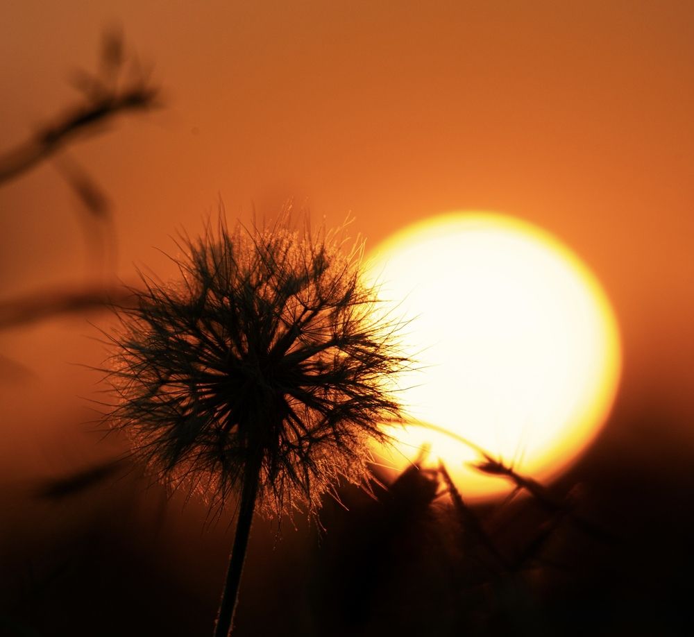 Photograph by Ирина Бабич