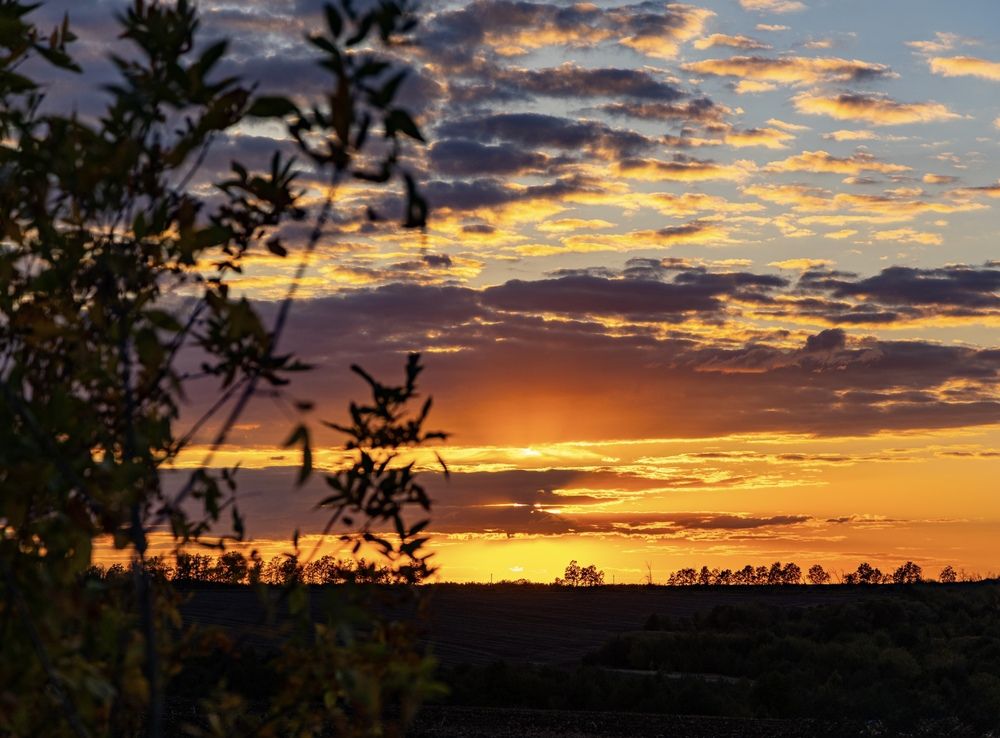 Photograph by Ирина Бабич