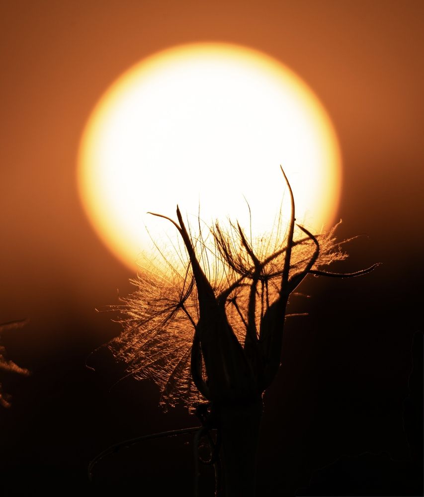 Photograph by Ирина Бабич